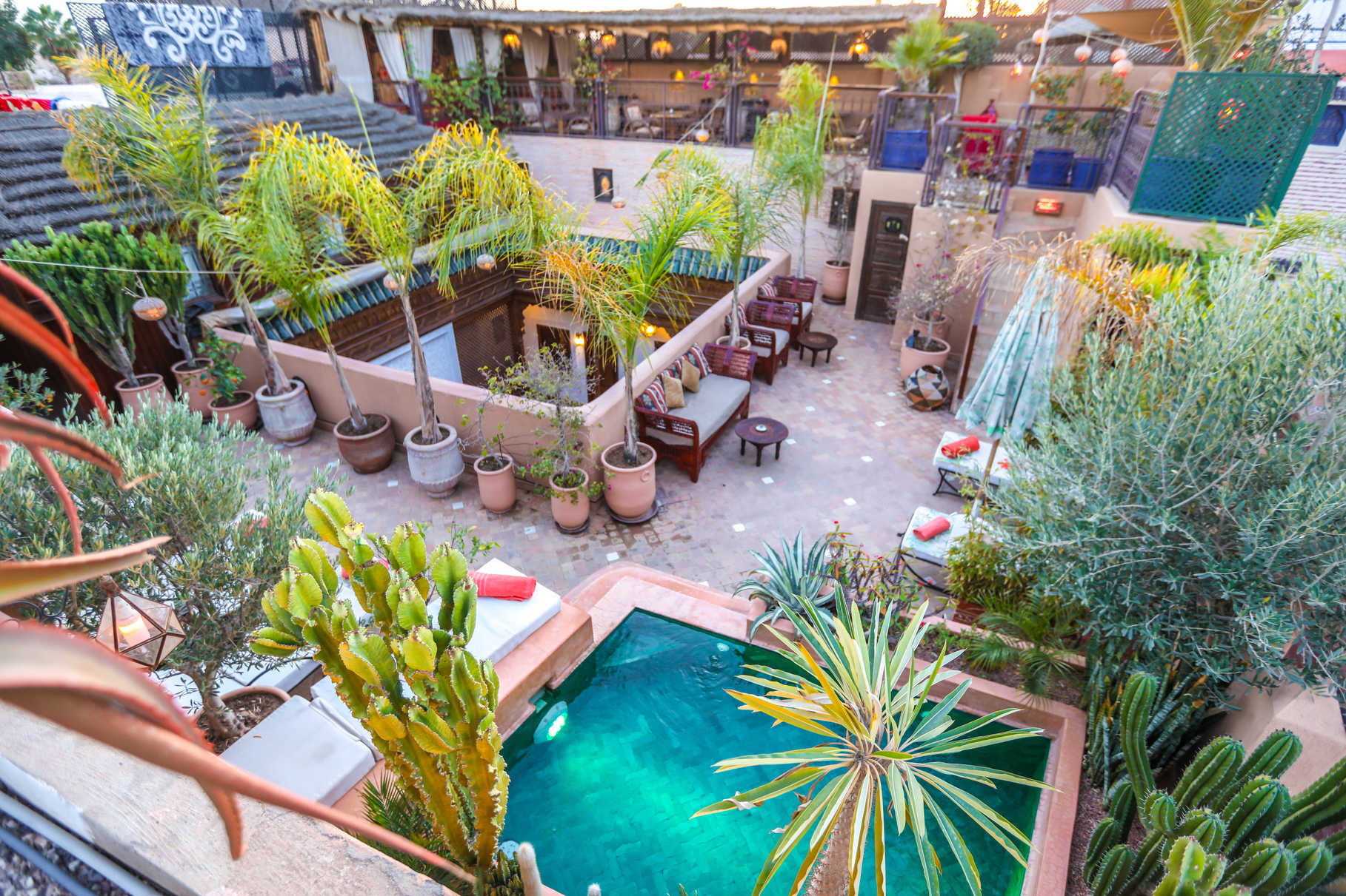 The Terrace